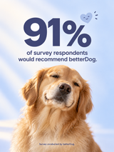 Golden retriever with a betterDog survey graphic reporting 91% of respondents would recommend betterDog